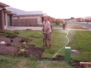 Yours truly, digging deeper into suburban soil. What's this, is Cornelius finally settling down? Read on to find out...